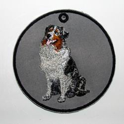 Cliquer sur la photo pour voir plus de photos