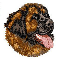 Cliquer sur la photo pour voir plus de photos