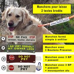 Cliquer sur la photo pour voir plus de photos