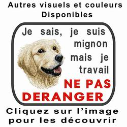 Cliquer sur la photo pour voir plus de photos